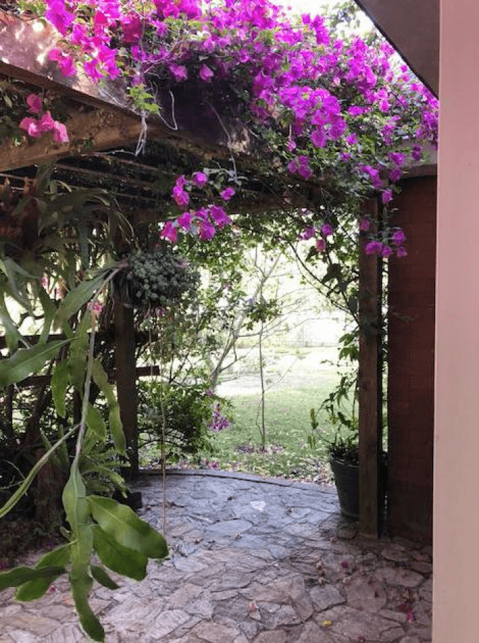 Preciosa casa en venta en carretera a El Salvador - foto 1