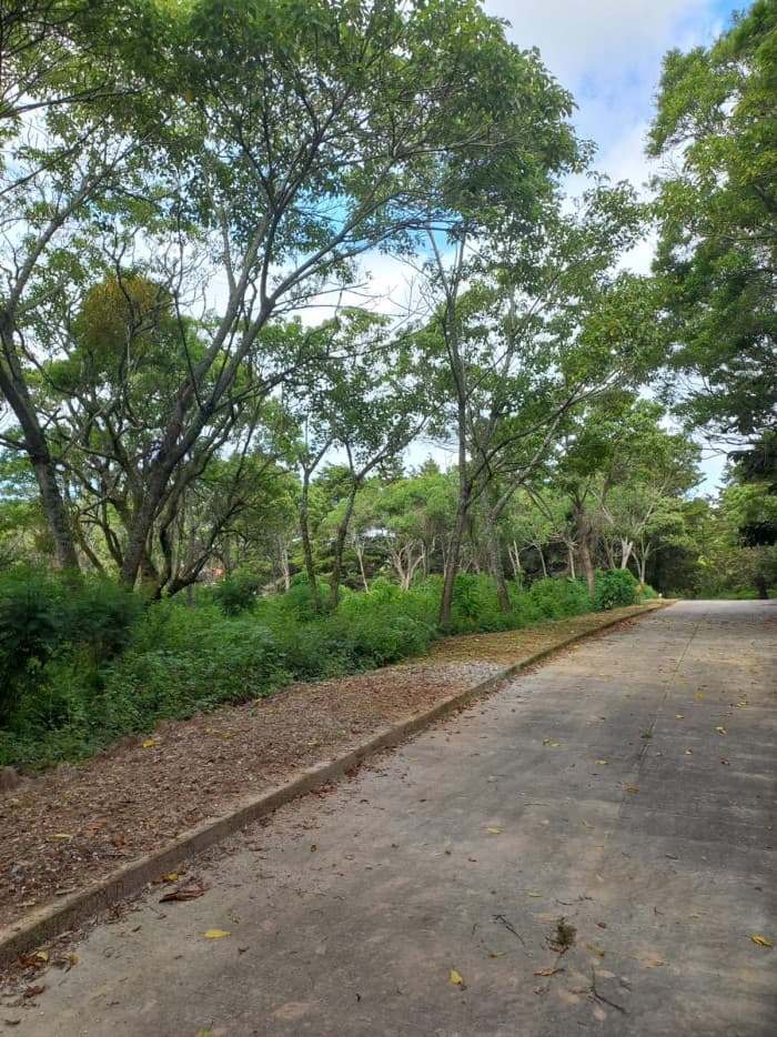 Terreno Residencial en Venta en Carretera a El Salvador - foto 1