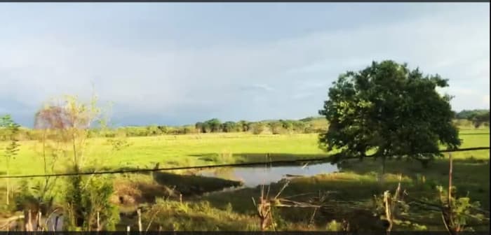 TERRENO EN VENTA EN PETEN  - foto 1