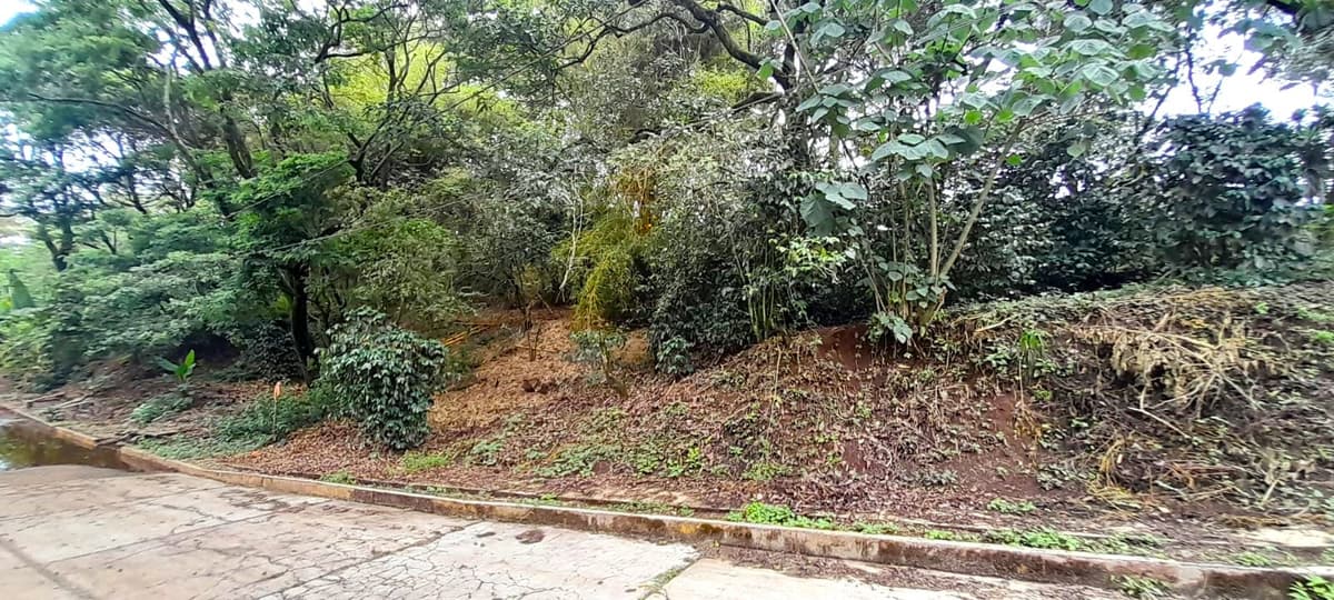 Terreno en Venta en Carretera a El Salvador  - foto 1
