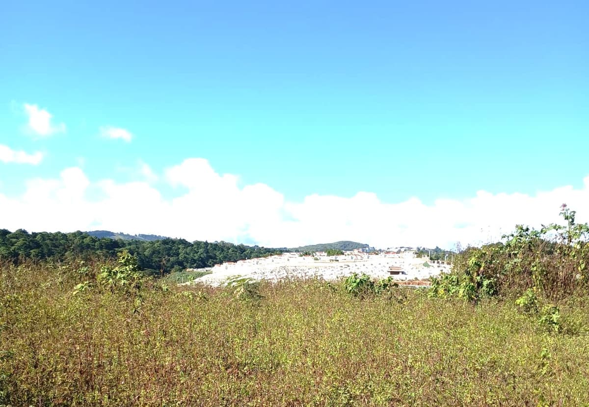 TERRENO EN VENTA EN LO DE DIEGUEZ - FINCA EL MAGUEY - foto 1