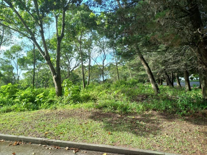 Terreno Residencial en Venta en Km 23.5 CES - foto 1