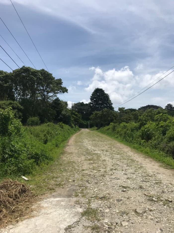 Terreno en Venta en Carretera a Santa Elena Barillas - foto 1