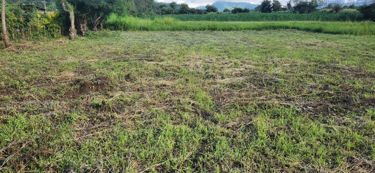Terreno en Renta Camino a Jutiapa - foto 1