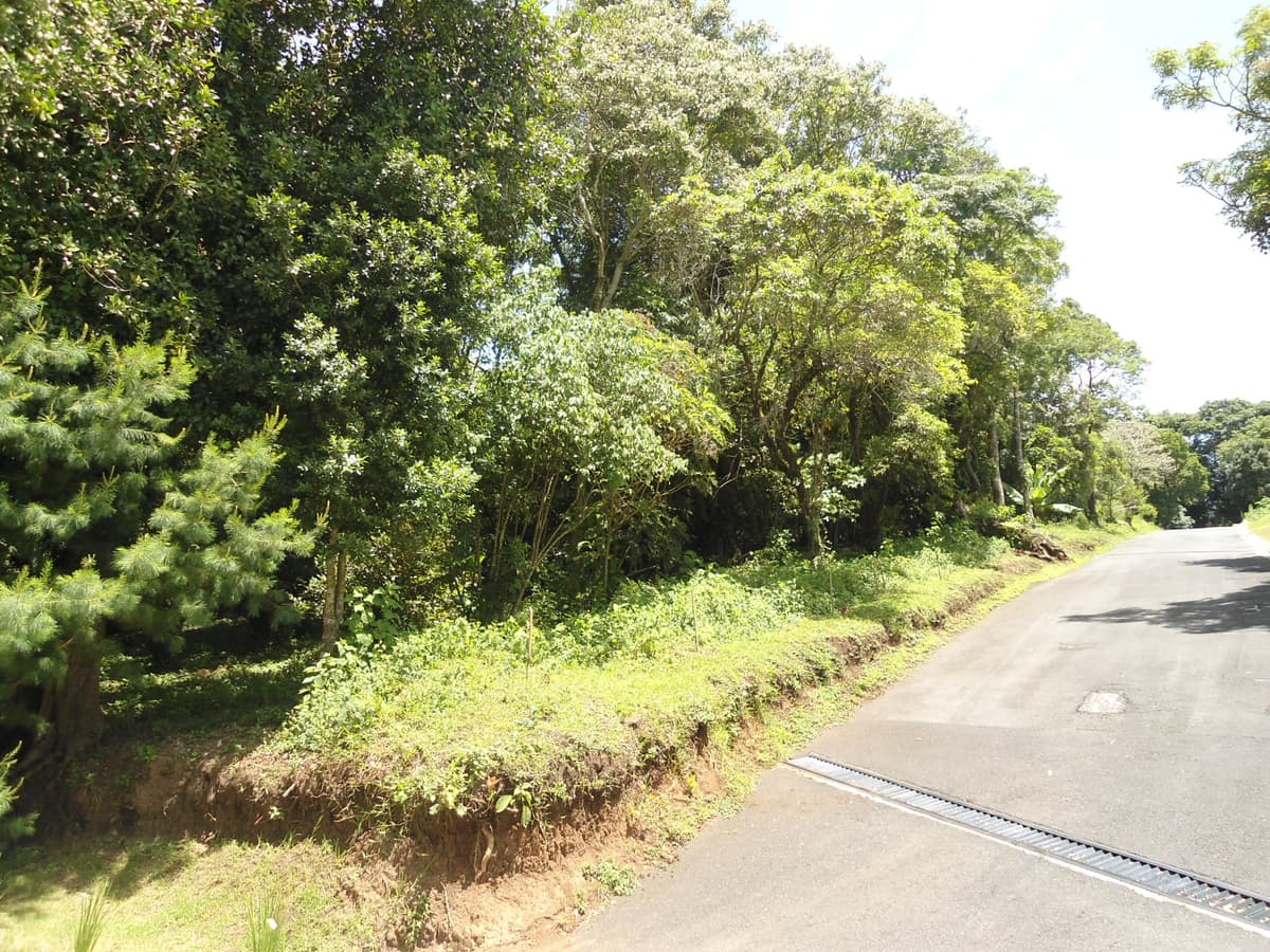 Terreno en Venta en San German de la Montaña Fraijanes - foto 1