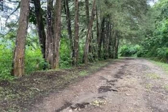 Terreno en Venta en Granja Buenos Aires - foto 1