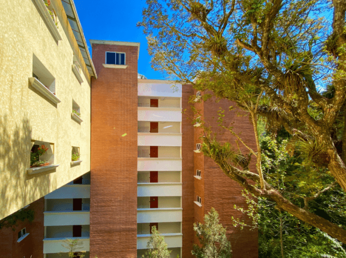 APARTAMENTO TIPO STUDIO EN RENTA - ZONA 16 - foto 1