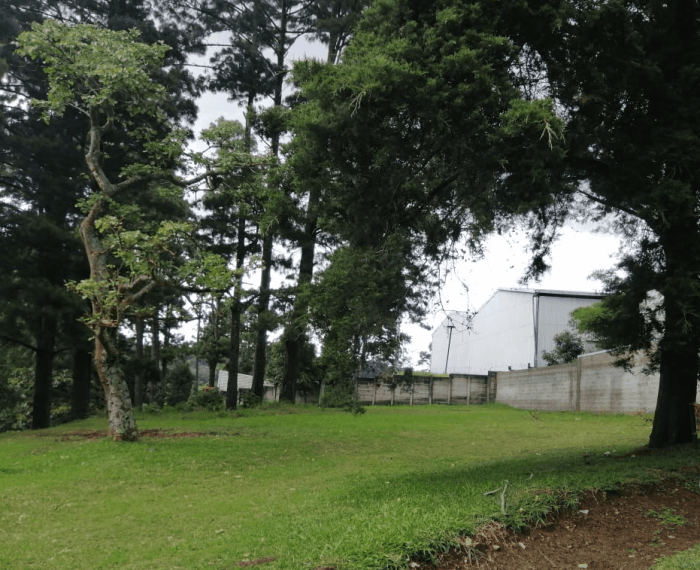 Terreno en venta en Bosques de Vila Verde km. 26.5 CES - foto 1