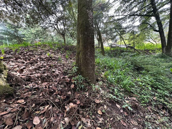 Terreno Residencial en Venta - Santa Lucia Milpas Altas - foto 1