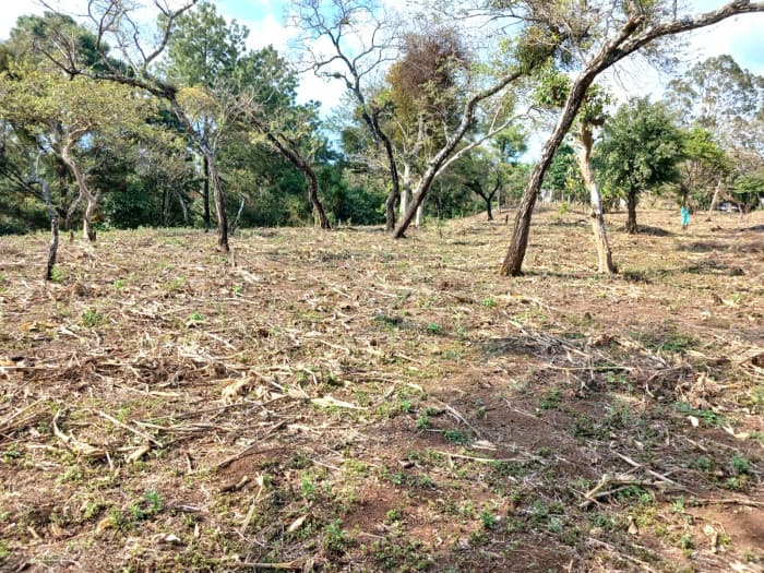 TERRENO EN VENTA EN FRAIJANES - foto 1