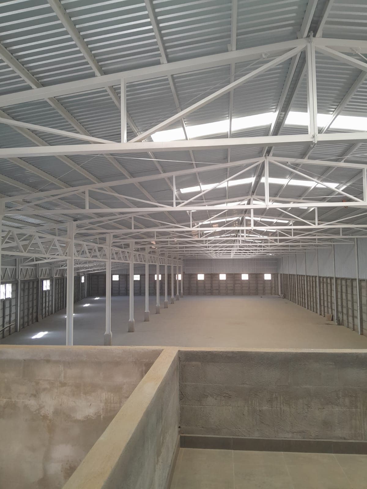 Bodegas en Renta en Amatitlán - foto 1