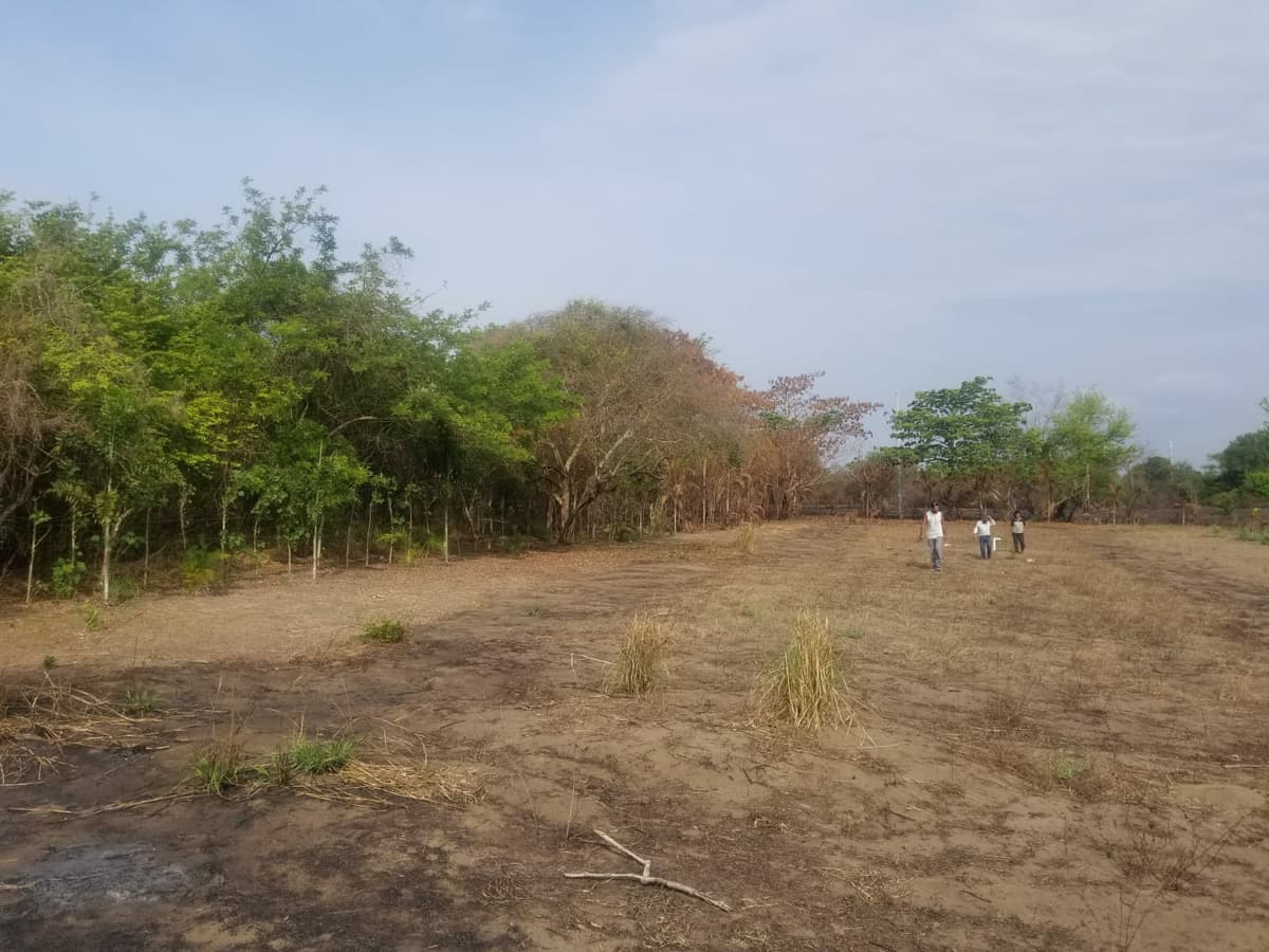 TERRENO COMERCIAL EN VENTA  - foto 1