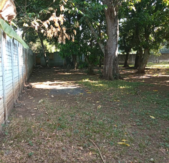 Terreno en Venta en Escuintla - foto 1