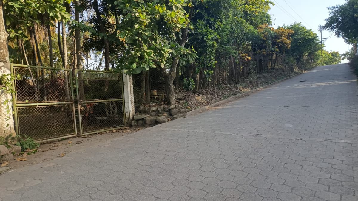 VENTA DE TERRENO EN KM 73, CARRETERA A TAXISCO - foto 1