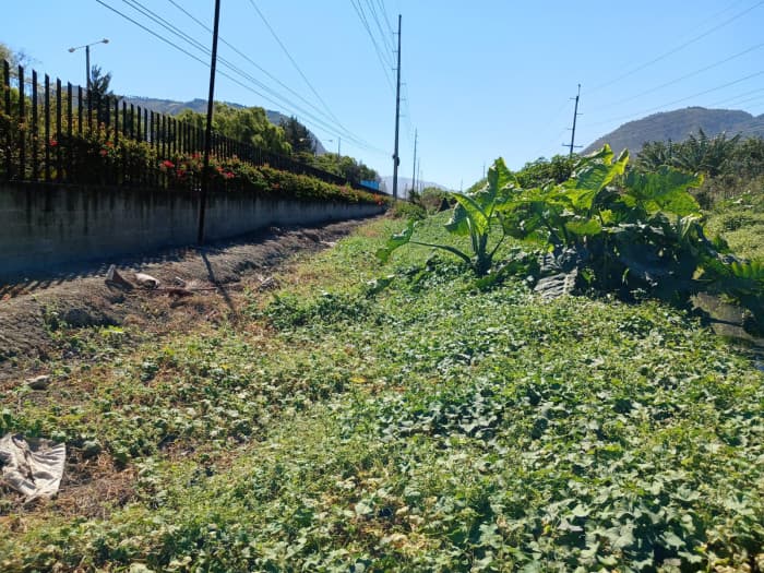 Terreno en Venta en Amatitlán - foto 1