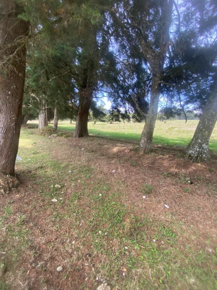 venta de terreno en carretera a el salvador - foto 1