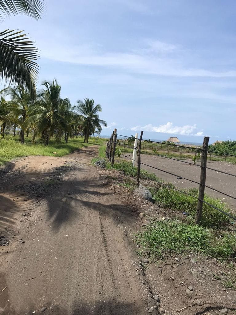 Venta de Terreno en Escuintla - foto 1