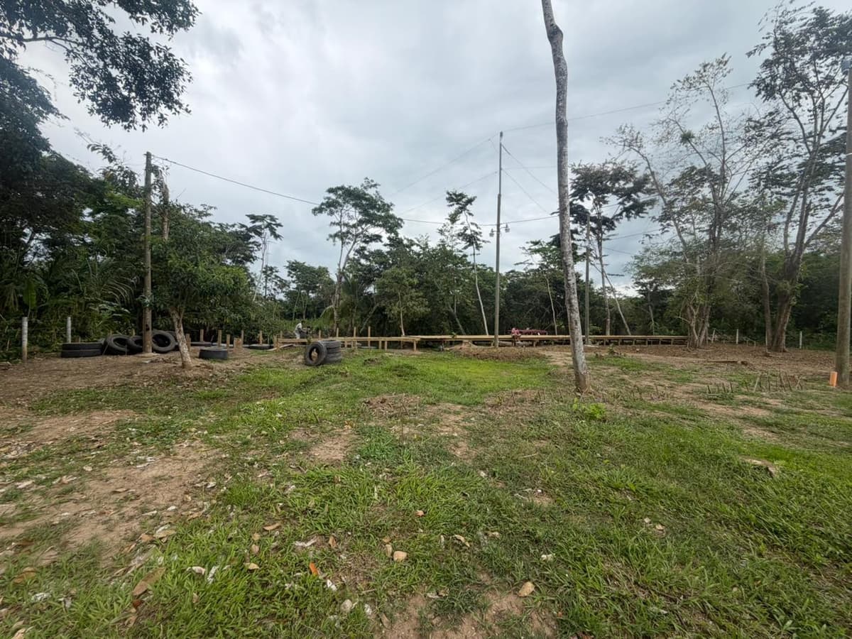 Terreno en venta en Rio Ciénega, Livingston  - foto 1