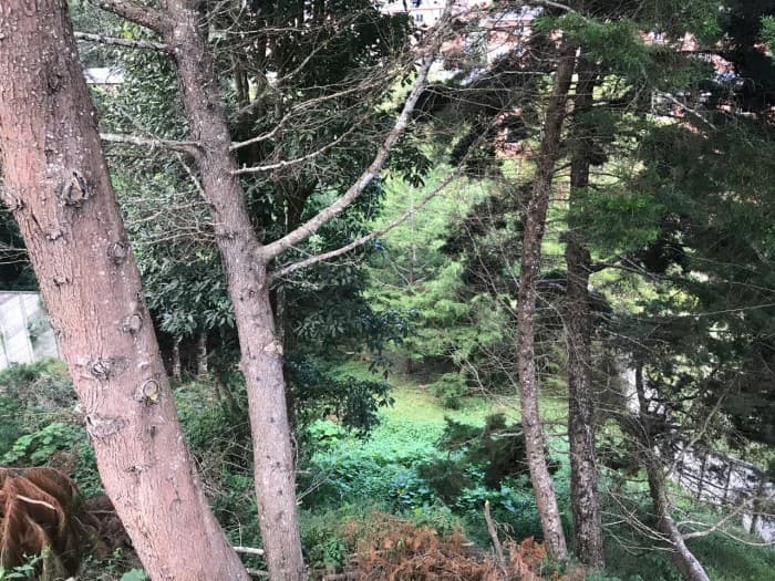 Terreno en Venta Bosques de las Luces - foto 1