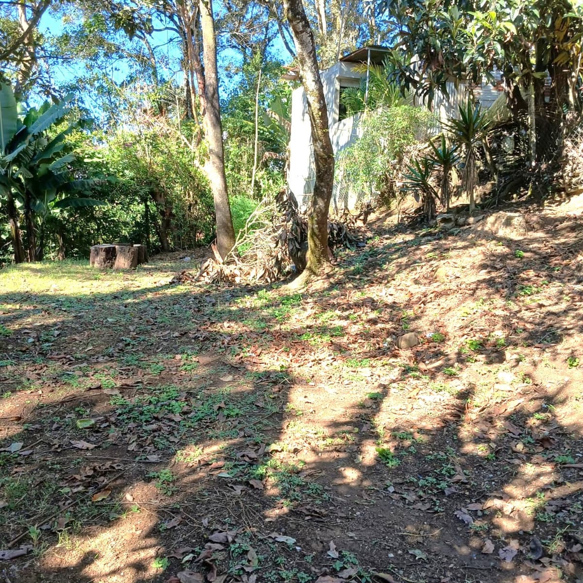 VENTA DE TERRENO EN LO DE DIEGUEZ - foto 1