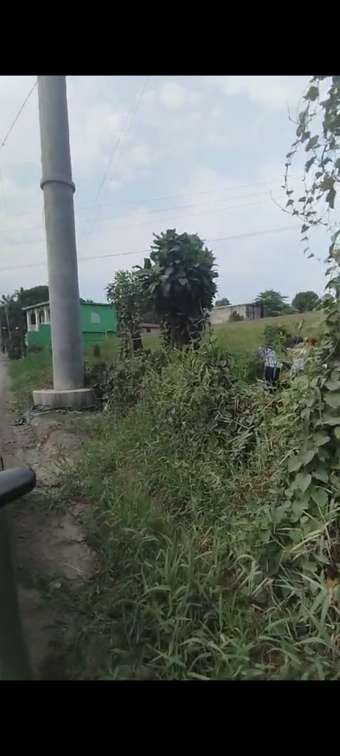 Finca en Puerto Barrios Izabal - foto 4
