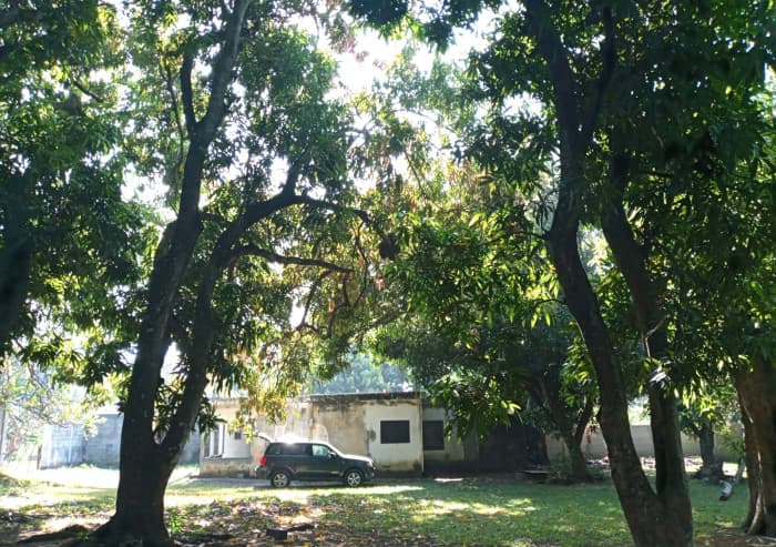 Terreno en Venta en Escuintla - foto 3