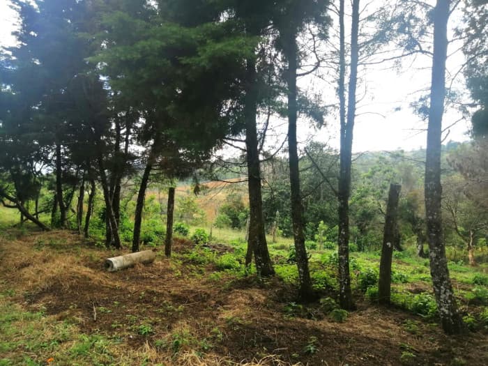 TERRENO RESIDENCIAL EN VENTA EN VILLA CANALES - foto 4