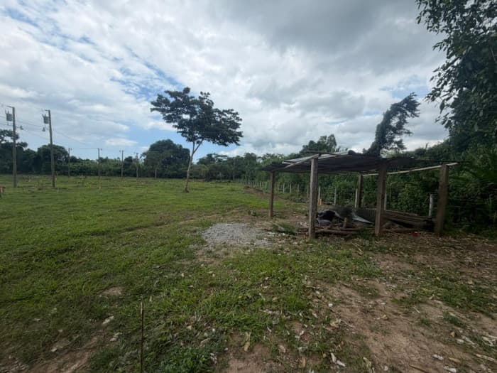 Terreno en venta en Rio Ciénega, Livingston  - foto 3