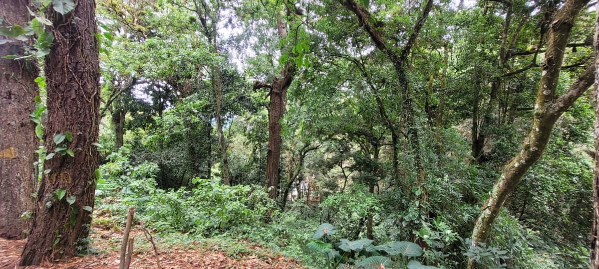 Terreno en condominio residencial CES - foto 4