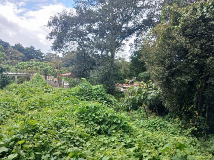 TERRENO EN VENTA EN SAN LUCAS SACATEPEQUEZ - foto 2