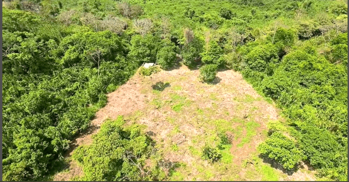 TERRENO EN VENTA EN RIO DULCE - foto 2