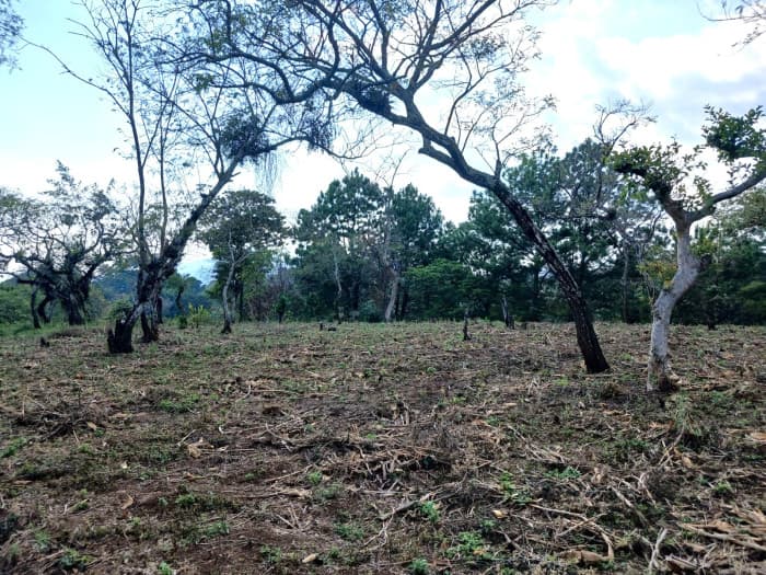 TERRENO EN VENTA EN FRAIJANES - foto 3