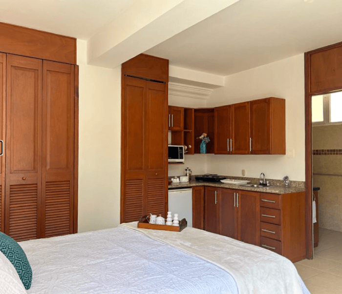 APARTAMENTO TIPO STUDIO EN RENTA - ZONA 16 - foto 2