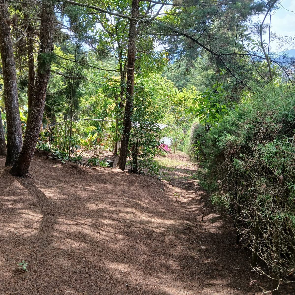Terreno en Venta en San José Pinula, Aldea Las Anonas   - foto 2