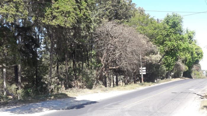 Amplio terreno con casa en venta en San José Pínula - foto 3