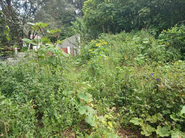 TERRENO EN VENTA EN SAN LUCAS SACATEPEQUEZ - foto 4