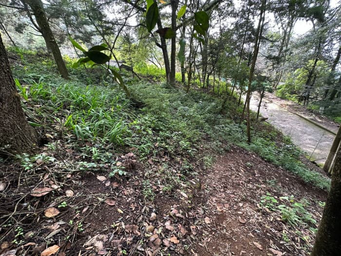 Terreno Residencial en Venta - Santa Lucia Milpas Altas - foto 3