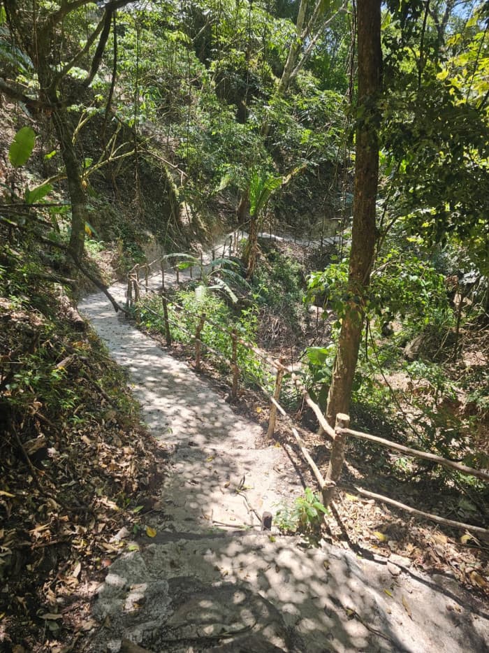 HACIENDA EN VENTA - FINCA EL MAGUEY - foto 3