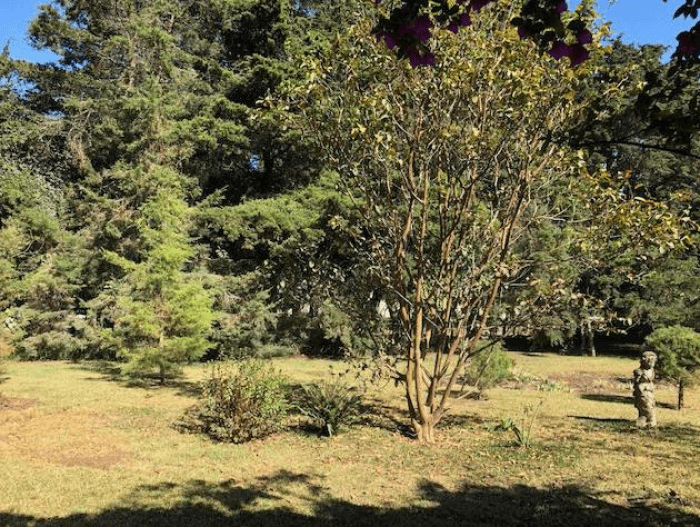 Preciosa casa en venta en carretera a El Salvador - foto 4