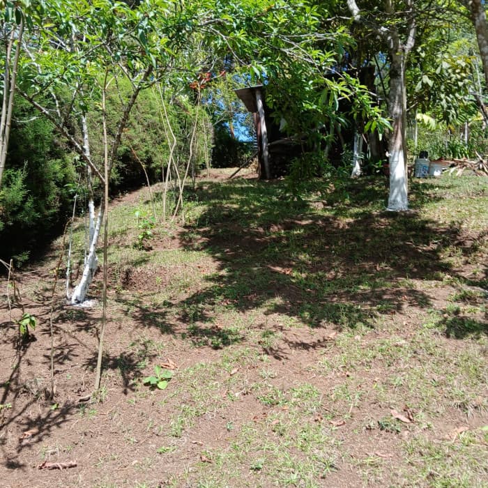 Terreno en Venta en San José Pinula, Aldea Las Anonas   - foto 4