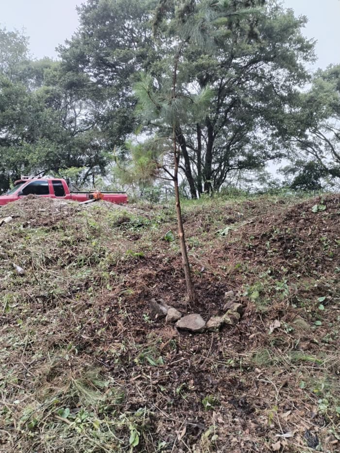 TERRENO EN VENTA EN GRANJA BUENOS AIRES - foto 4