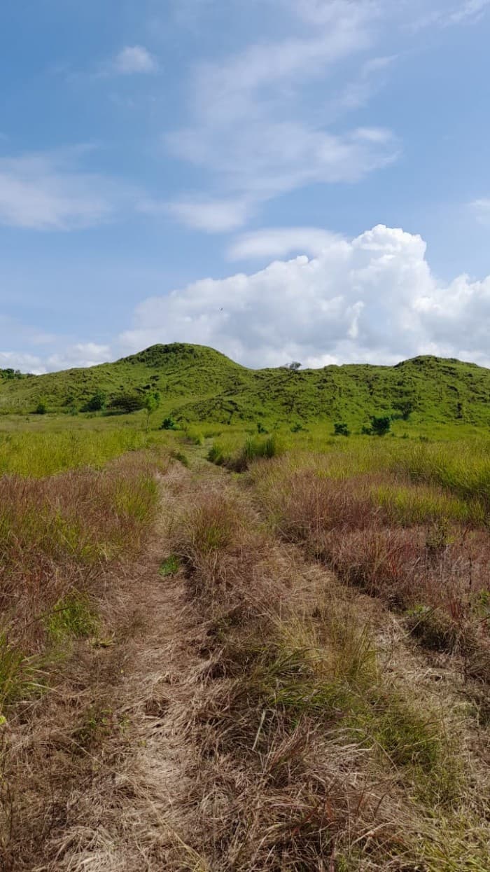 Vendo Terreno Plano en Carretera a El Salvador  - foto 4