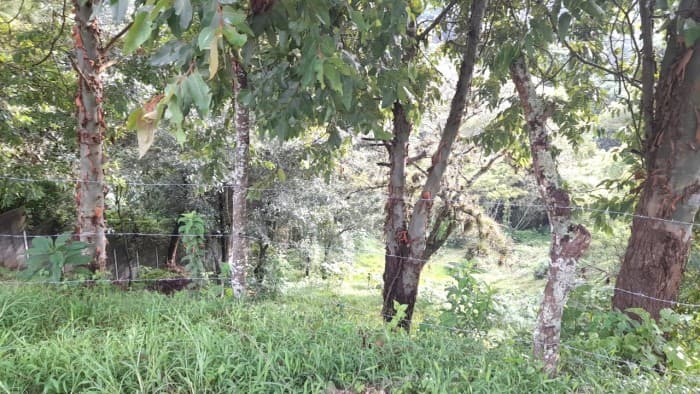 Lote en venta, Sausalito Fraijanes Km. 19.8  - foto 3