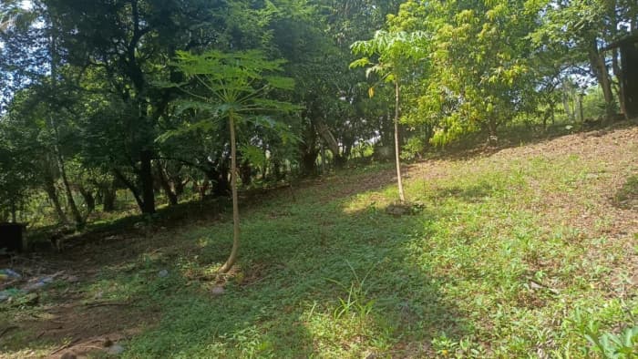 VENTA DE TERRENO EN KM 73, CARRETERA A TAXISCO - foto 2