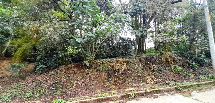 Terreno en Venta en Carretera a El Salvador  - foto 2