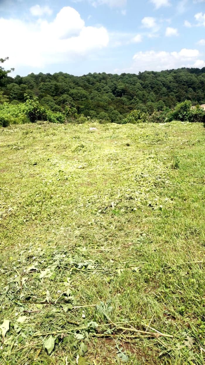 TERRENO EN VENTA EN LO DE DIEGUEZ - FINCA EL MAGUEY - foto 2