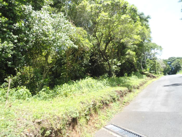 Terreno en Venta en San German de la Montaña Fraijanes - foto 3