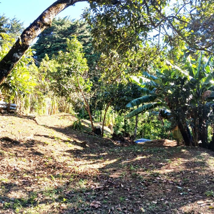VENTA DE TERRENO EN LO DE DIEGUEZ - foto 4