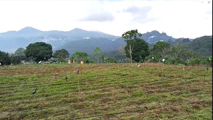 Terreno en  venta Km 28.5 de Villa Nueva a Milpas Altas - foto 3