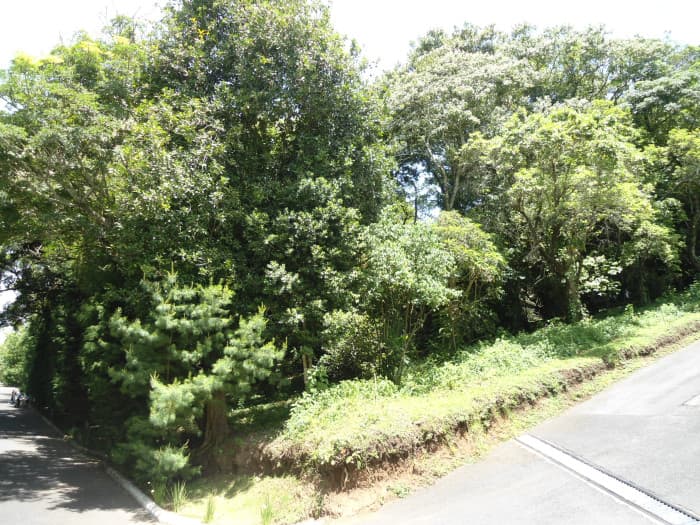 Terreno en Venta en San German de la Montaña Fraijanes - foto 2